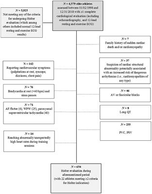 Holter-determined arrhythmias in young elite athletes with suspected risk: Insights from a 20-year experience